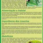 Country house Quinta Do Castelo, De Pedra Reguengo Grande