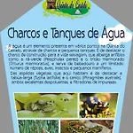 Quinta Do Castelo, De Pedra Country house