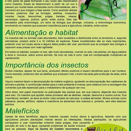 Country house Quinta Do Castelo, De Pedra Reguengo Grande