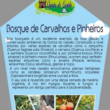 Quinta Do Castelo, De Pedra *